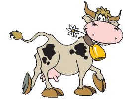 vache