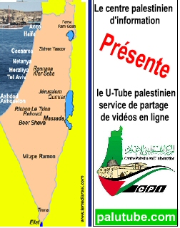carte-bi